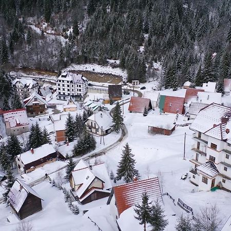 Apartment Petrovic Kopaonik Exteriör bild