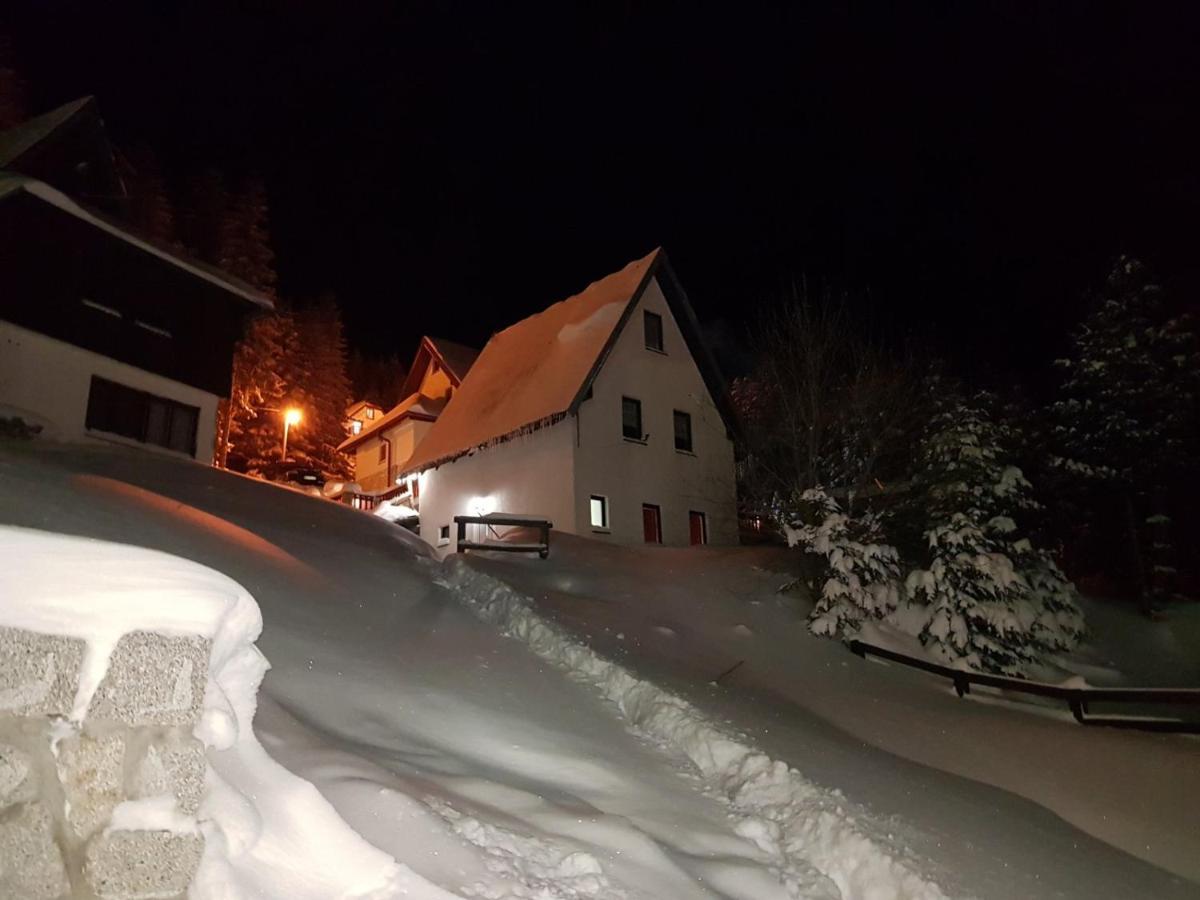 Apartment Petrovic Kopaonik Exteriör bild